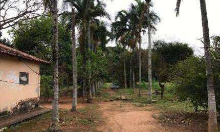 Chácara com 2 dormitórios à venda, 5000 m² - Vila Esperança - Santo Antônio de Posse/SP