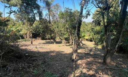 Chácara com 5 dormitórios à venda, 5000 m² - Borda Mata - Jaguariúna/SP