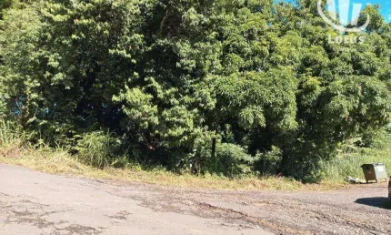 Terreno à venda, 1537 m² - Chácaras Santo Antônio do Jardim - Jaguariúna/SP