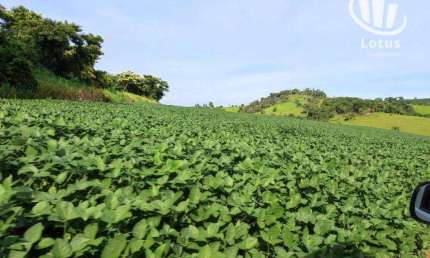 Fazenda à venda, 3000000 m² por - Centro - Divisa Nova/MG
