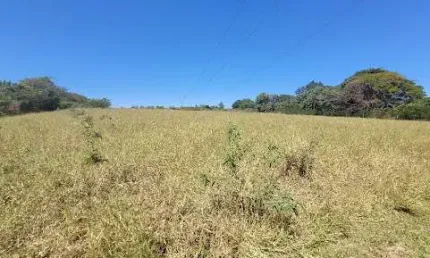 Sítio à venda, 47000 m² por R$ 1.200.000,00 - Carlos Gomes - Campinas/SP