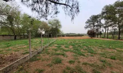 Terreno à venda, 3000 m²- Chácara Long Island - Jaguariúna/SP