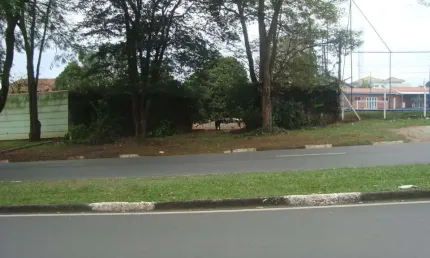 Chácara à venda, 1093 m² por R$ 850.000,00 - Chácara Primavera - Jaguariúna/SP