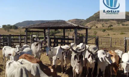 Fazenda à venda, em Cajuru a 70 KM de Ribeirão Preto, 120 Alqueires Paulista.