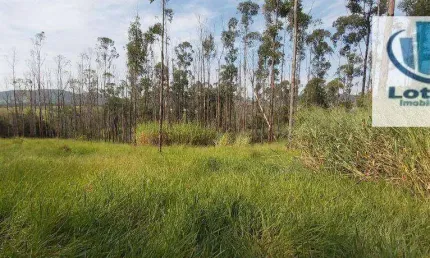 Sítio à venda, 32600 m² por R$ 1.000.000,00 - Centro (Três Pontes) - Amparo/SP