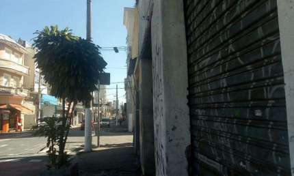 Casa para Venda em São Paulo, Bom Retiro, 3 dormitórios, 2 banheiros