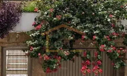 Casa com 2 quartos à venda na ariosto césar, --, parada inglesa, são paulo por r$ 550.000