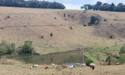 Chácara / sítio à venda no Centro, Divinolândia , 30000 m2 por R$ 1.150.000