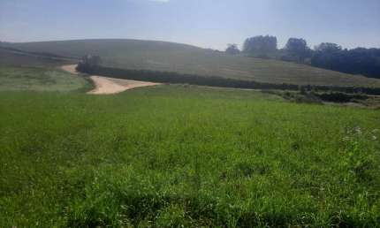 Excelente área de 78.727,62m² (3,26 alqueires ou 7.88 hectares) em Excelente localização a exatos 10 km do Centro de Araucária, a apenas 800m do asfalto - APENAS R$ 1.499.000,00