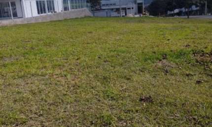 Terreno comercial à venda no Cubas, Piracaia 