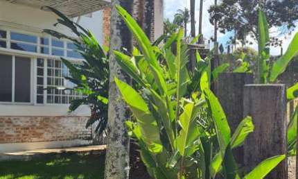 Chácara / sítio com 5 quartos à venda em Pinhal, Piracaia 