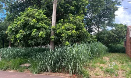 Investimento Exclusivo: Oportunidade Única nos Terrenos do Rita Vieira!