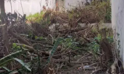 Terreno à venda na Rua Rodrigues Batista, 76, Aclimação, São Paulo