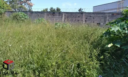 Terreno à venda Alvarenga - São Bernardo do Campo - SP