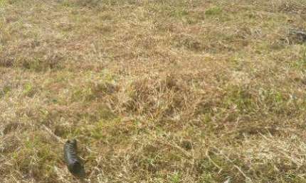 Terreno comercial para alugar na Estrada João Ducim, 340, Jardim Jamaica, Santo André