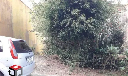 Terreno à venda Cooperativa - São Bernardo do Campo - SP