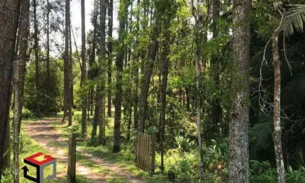 Terreno à venda Alvarenga - São Bernardo do Campo - SP