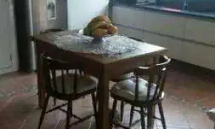 Casa com 3 quartos à venda na Rua Vieira de Almeida, 49, Ipiranga, São Paulo