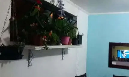 Casa com 3 quartos à venda na Rua Gama Cerqueira, 382, Cambuci, São Paulo
