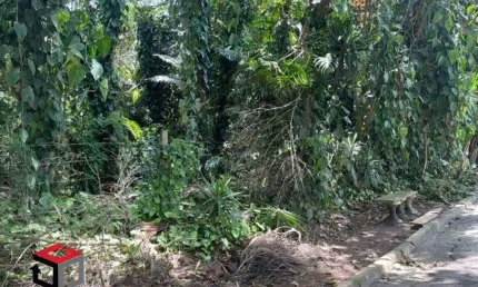 Terreno à venda Alvarenga - São Bernardo do Campo - SP