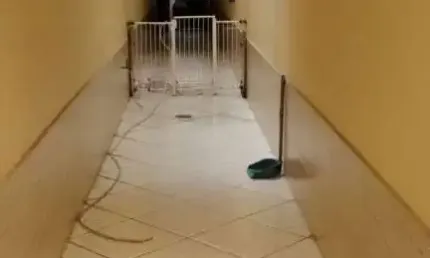 Sobrado 252 M² localizado no bairro - Montanhão - São Bernardo do Campo - SP