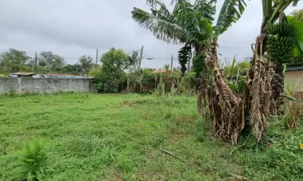Terreno à venda no Ipelândia, Suzano 