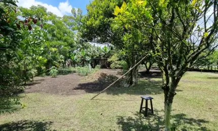 Chácara / sítio com 2 quartos à venda na Estrada Keida Harada, Ipelândia, Suzano