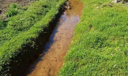 Chácara / sítio com 2 quartos à venda na Rodovia Engenheiro Cândido do Rego Chaves, 00, Barroso, Mogi das Cruzes