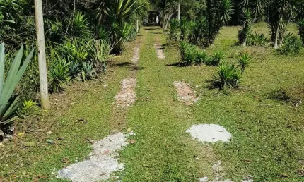 Chácara / sítio com 2 quartos à venda na Rodovia Engenheiro Cândido do Rego Chaves, 00, Barroso, Mogi das Cruzes