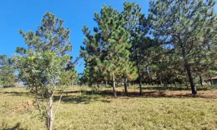 Terreno à venda no Ipelândia, Suzano 