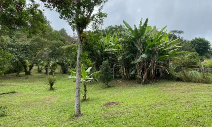 Chácara / sítio com 2 quartos à venda na Rua dos Sabiás, Parque Rio Grande, Rio Grande da Serra