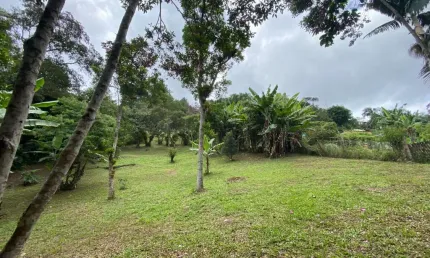 Chácara / sítio com 2 quartos à venda na Rua dos Sabiás, Parque Rio Grande, Rio Grande da Serra