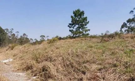 Terreno à venda na Estrada Keida Harada, Ipelândia, Suzano