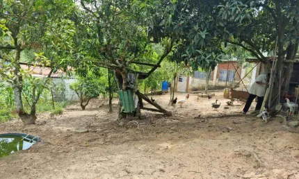 Chácara / sítio com 1 quarto à venda na Estrada Keida Harada, Ipelândia, Suzano