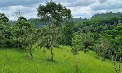 Chácara / sítio com 2 quartos à venda na Estrada Keida Harada, Ipelândia, Suzano