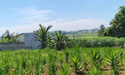 Terreno à venda na Estrada Keida Harada, Ipelândia, Suzano