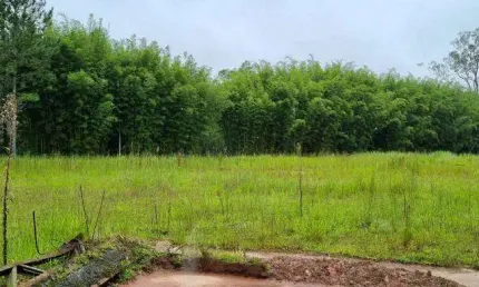 Terreno à venda na Rodovia Índio Tibiriçá, Palmeiras de São Paulo, Suzano
