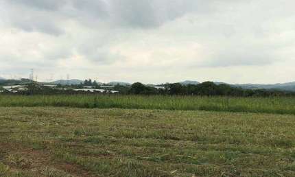 Chácara / sítio com 3 quartos à venda na Viela Cinco, Parque das Varinhas, Mogi das Cruzes