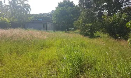 Terreno à venda na Estrada Keida Harada, Ipelândia, Suzano