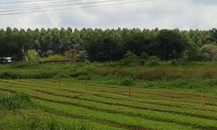 Terreno à venda na Estrada Keida Harada, Ipelândia, Suzano