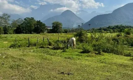 Terreno à venda na Estrada Martha Alcântara Fares, Cotia, Guapimirim