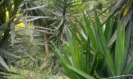 Terreno à venda em Santo Amaro, São Paulo 
