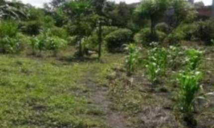 Guarulhos, Terreno Comercial/Residencial de 2000m².