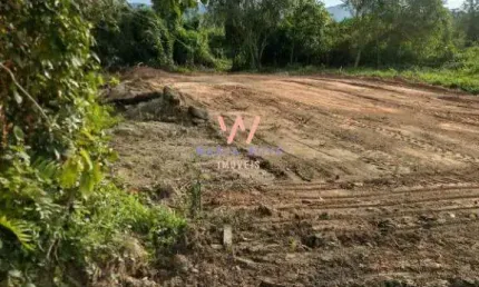 Terreno à venda, 290m² por R$130.000, Balneário dos Golfinhos - Caraguatatuba/SP