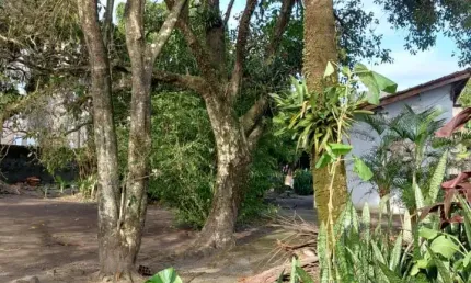 Terreno à venda no Samarita, São Vicente 