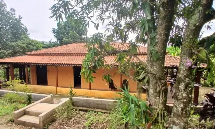 Chácara avarandada/ 3 Dorm./ Árvores Frutíferas/ Área Gourmet/ Pilar do Sul