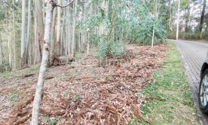 O TERRENO IDEAL PARA CONSTRUIR SUA CASA EM LOCAL SEGURO E EM MEIO A NATUREZA