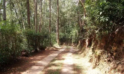 Chácara / sítio com 3 quartos à venda na Avenida Luiz Gobbo, Chácara Da Mirian - 0, s/nº, Santa Clara, Jundiaí