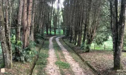 Chácara / sítio com 5 quartos à venda na Avenida Luiz Gobbo, 3400, Santa Clara, Jundiaí