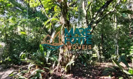 Terreno à venda no Prumirim, Ubatuba 